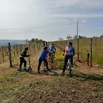 La Bella Vite Moncalvo
