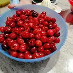 La Bella Vite فندق مبيت وإفطار