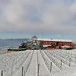 La Bella Vite 3*