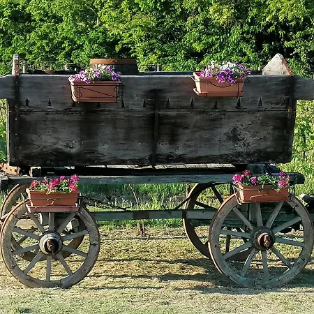 La Bella Vite *