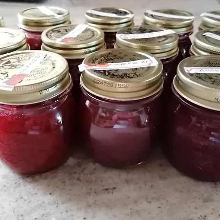 La Bella Vite Couette-café