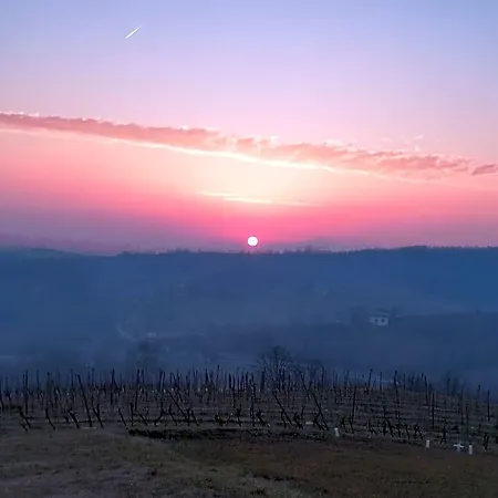 Bed & Breakfast La Bella Vite