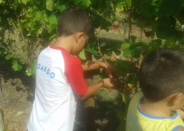 Bed and breakfast La Bella Vite Moncalvo