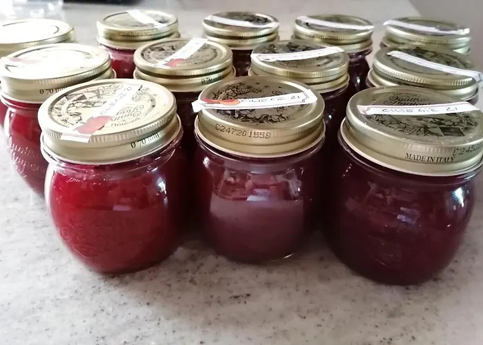 La Bella Vite Bed and breakfast