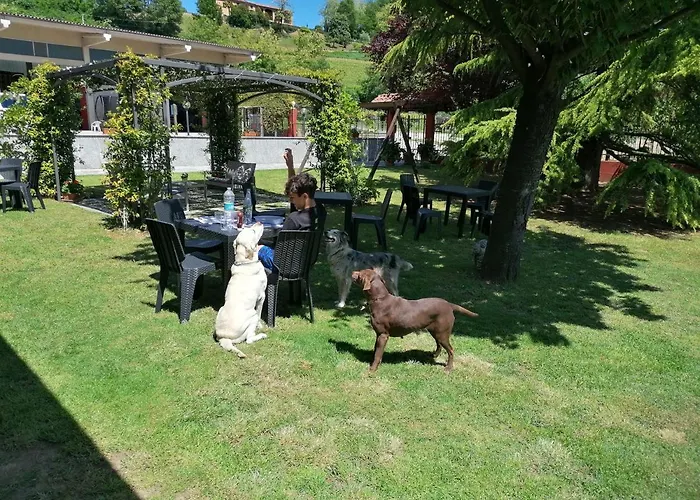 La Bella Vite Moncalvo