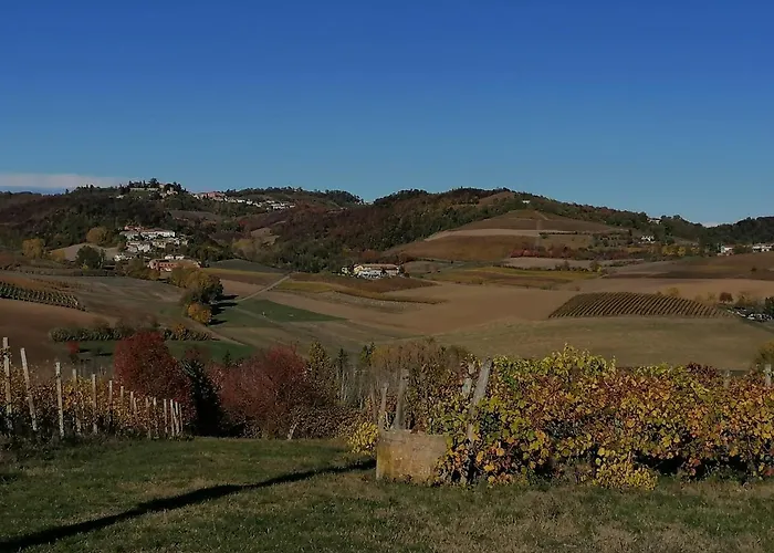 La Bella Vite Moncalvo